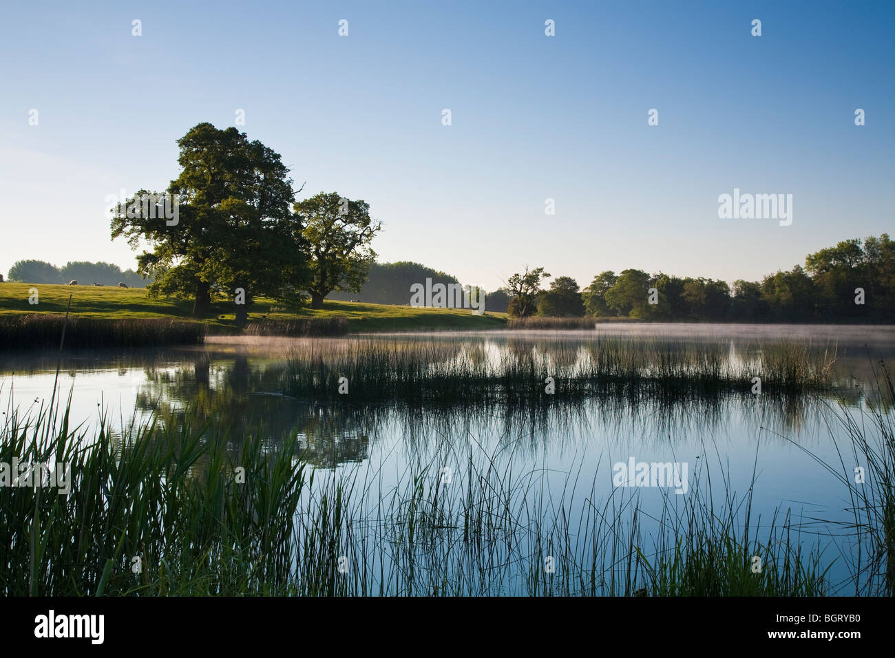Ersten Licht des Morgens beleuchtet Fawsley See, Northamptonshire. Stockfoto