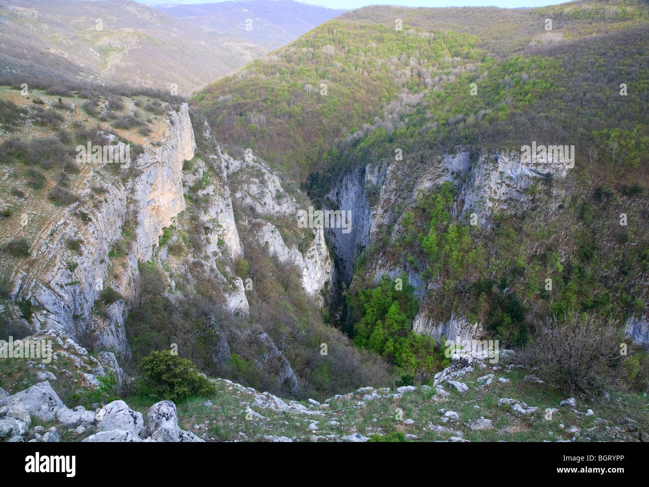 Frühling große Krim Canyon Mountain View mit und Kiefern am Hang (Krim, Ukraine). Stockfoto