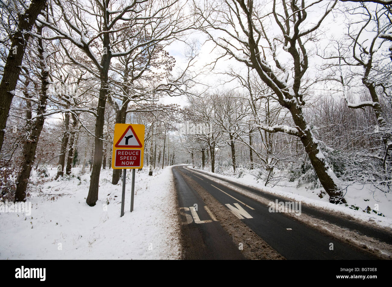 Schnee-Straße gesäumt von Bäumen Kent Landschaft England UK Stockfoto