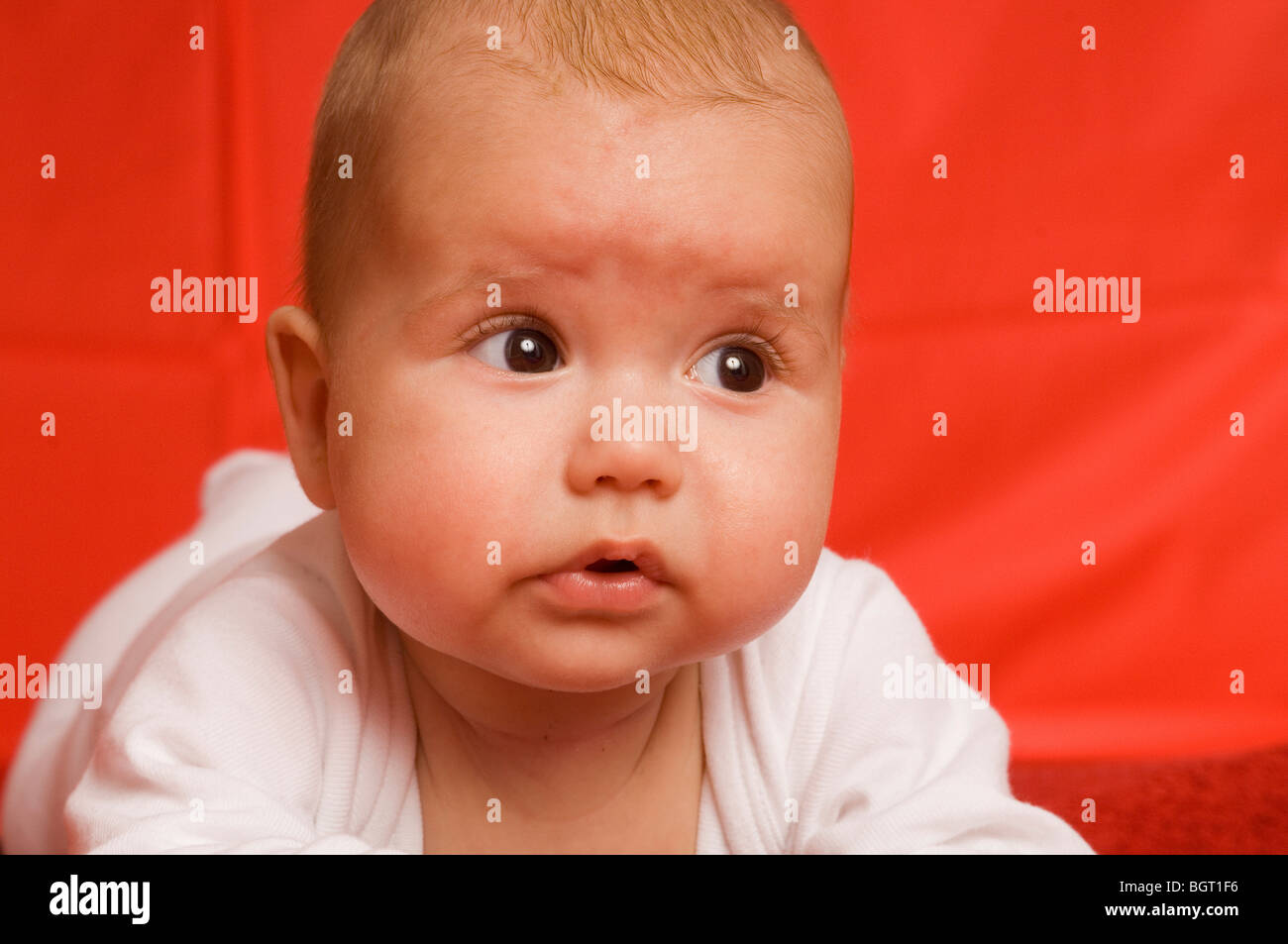 Ein vier Monate altes baby Stockfoto