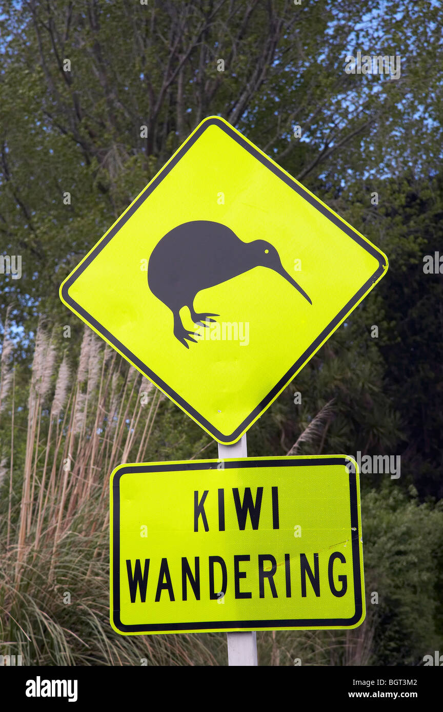 Kiwi-Warnschild, in der Nähe von Whakatane, Bay of Plenty, Nordinsel, Neuseeland Stockfoto