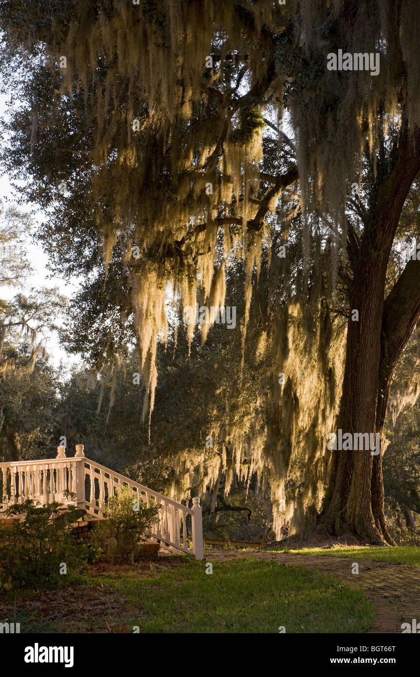 Sophia Jane Adams House c1893 White Springs Florida entlang dem Suwannee River Stockfoto