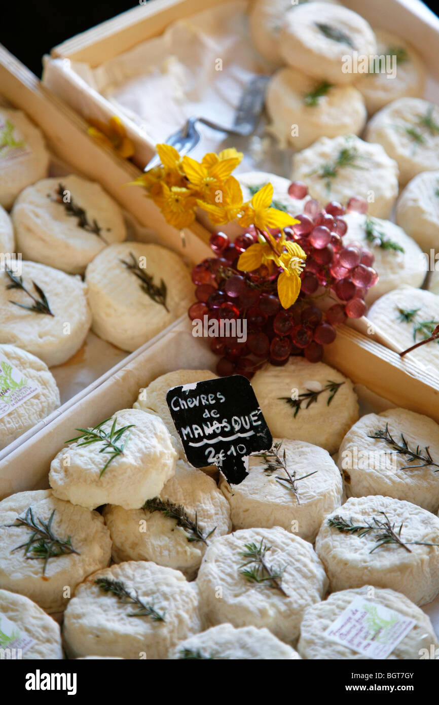 Ziegenkäse auf einem Markt in Ort Richelme in Vieil Aix der Altstadt von Aix-En-Provence, Bouches du Rhone, Provence, Frankreich. Stockfoto