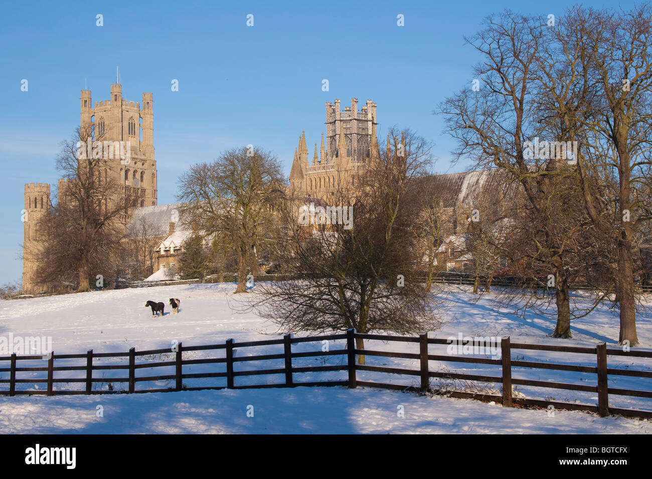 Ely Kathedrale nach Schneefall Stockfoto