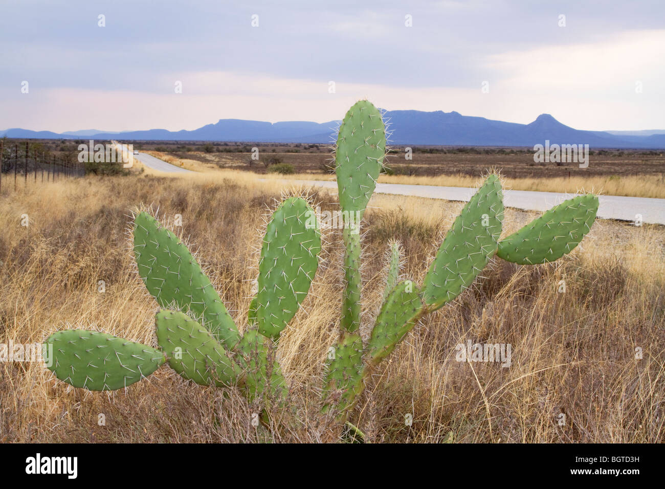 Landschaft in der Nähe von Graaff-Reinet, Eastern Cape, Südafrika Stockfoto