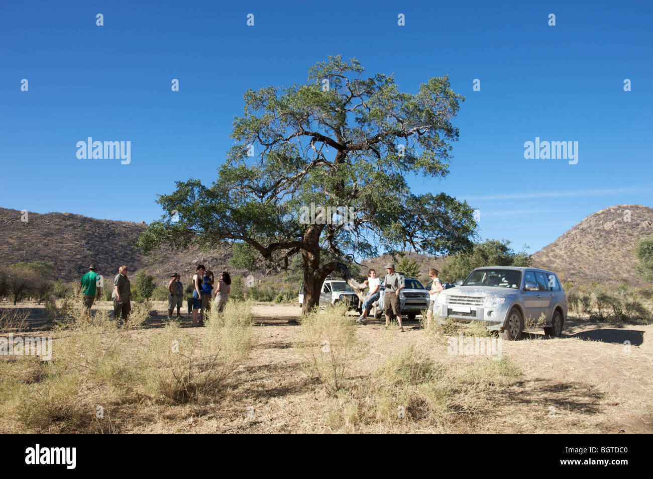 Fernsicht auf Touristen und Fahrzeuge unter Baum, Kaokoland, Namibia Stockfoto