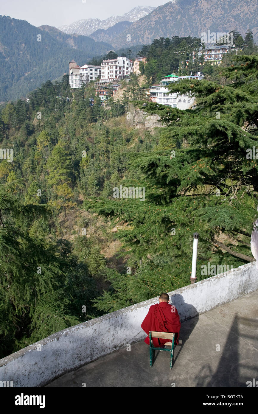 Buddhistischer Mönch zu lesen. McLeod Ganj. Dharamsala. Indien Stockfoto