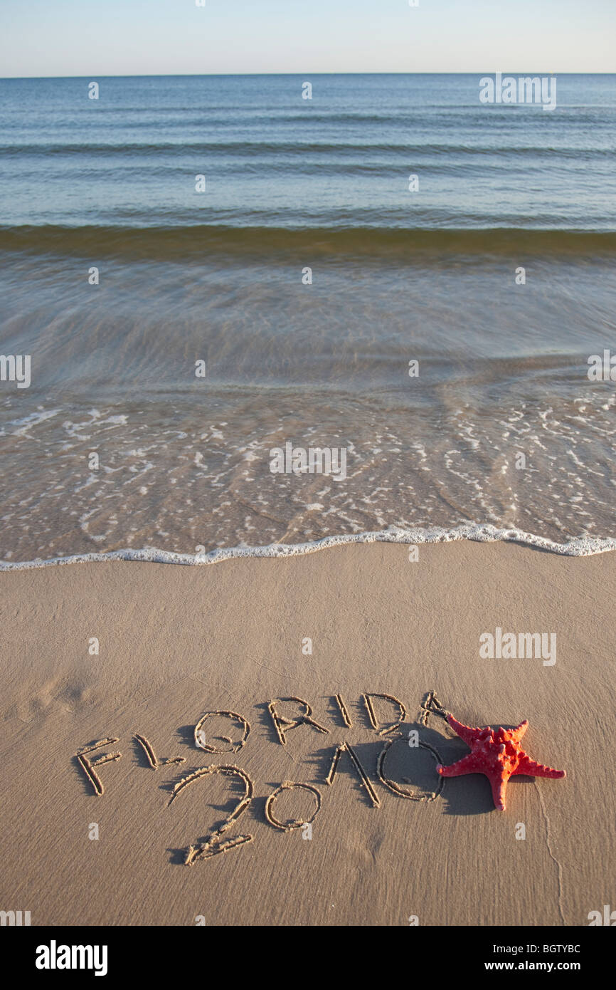 Roter Seestern und Kurztext auf nassen sand Stockfoto