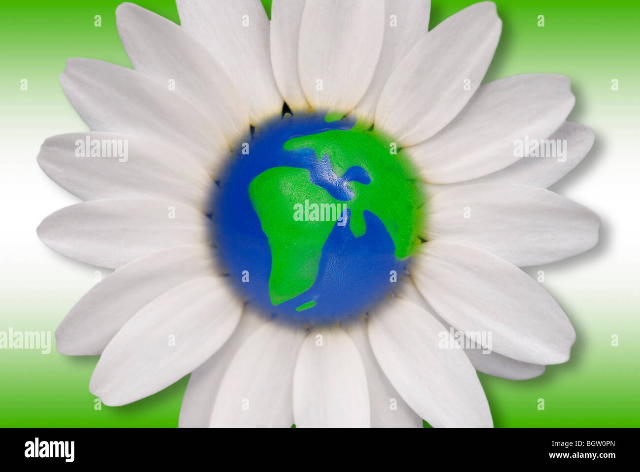 Daisy mit Globe, symbolisches Bild für Umweltschutz, Nachhaltigkeit Stockfoto