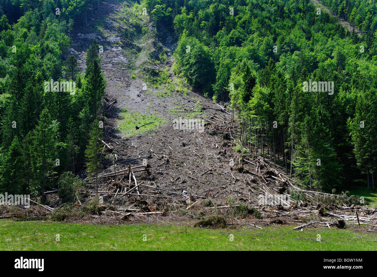 Murgang am Wildenmoos auf den Kienberg Chiemgau Berge, Oberbayern, Deutschland, Europa Stockfoto