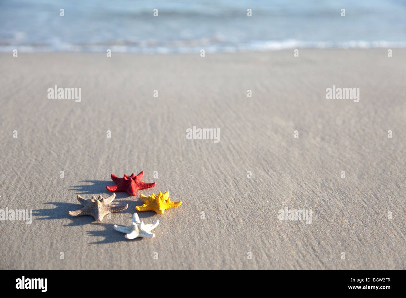 W paar Seesterne auf einem gelben Sandstrand Stockfoto