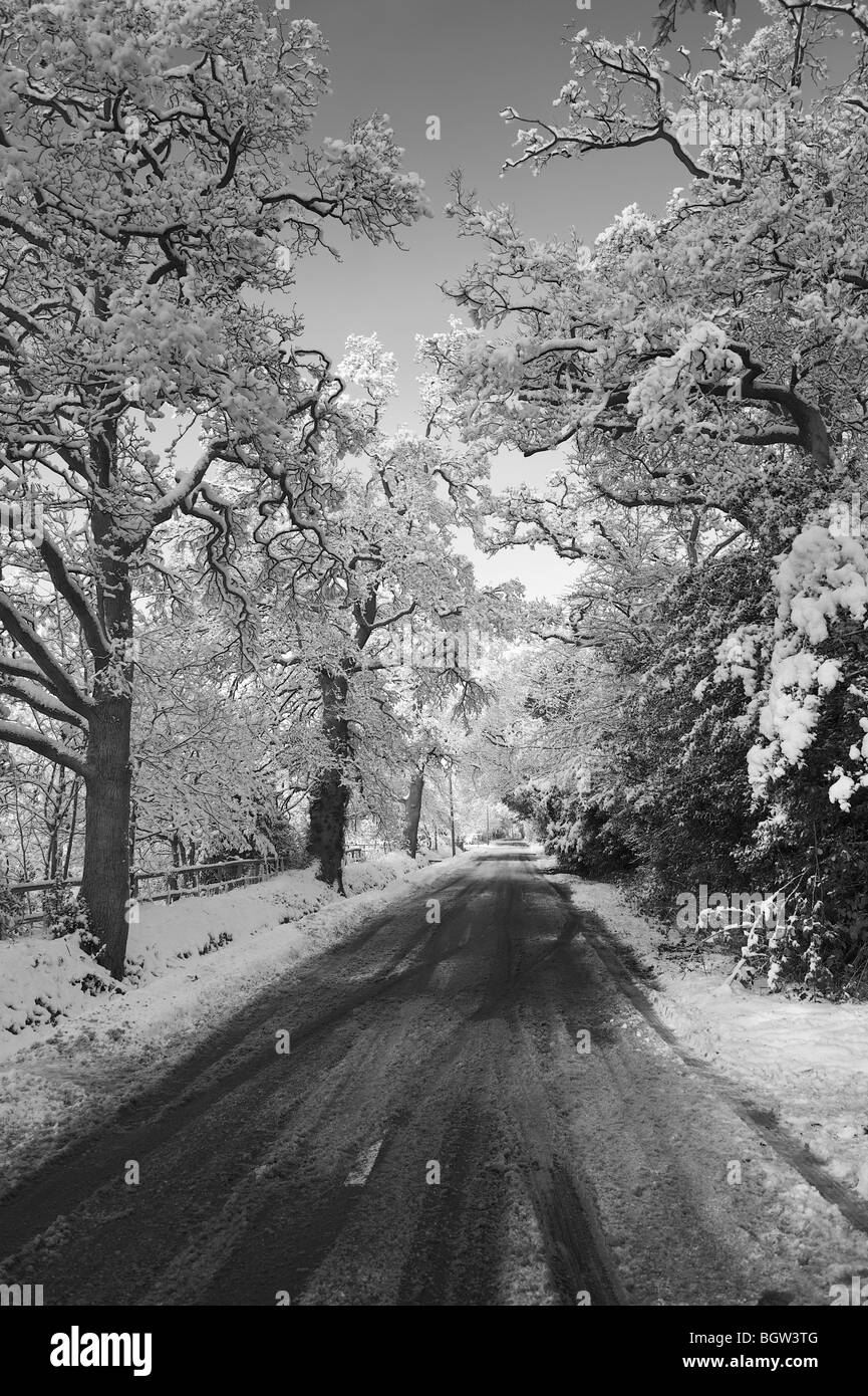 Winterlandschaft in schwarz und weiß, Mortimer, Berkshire, UK Stockfoto