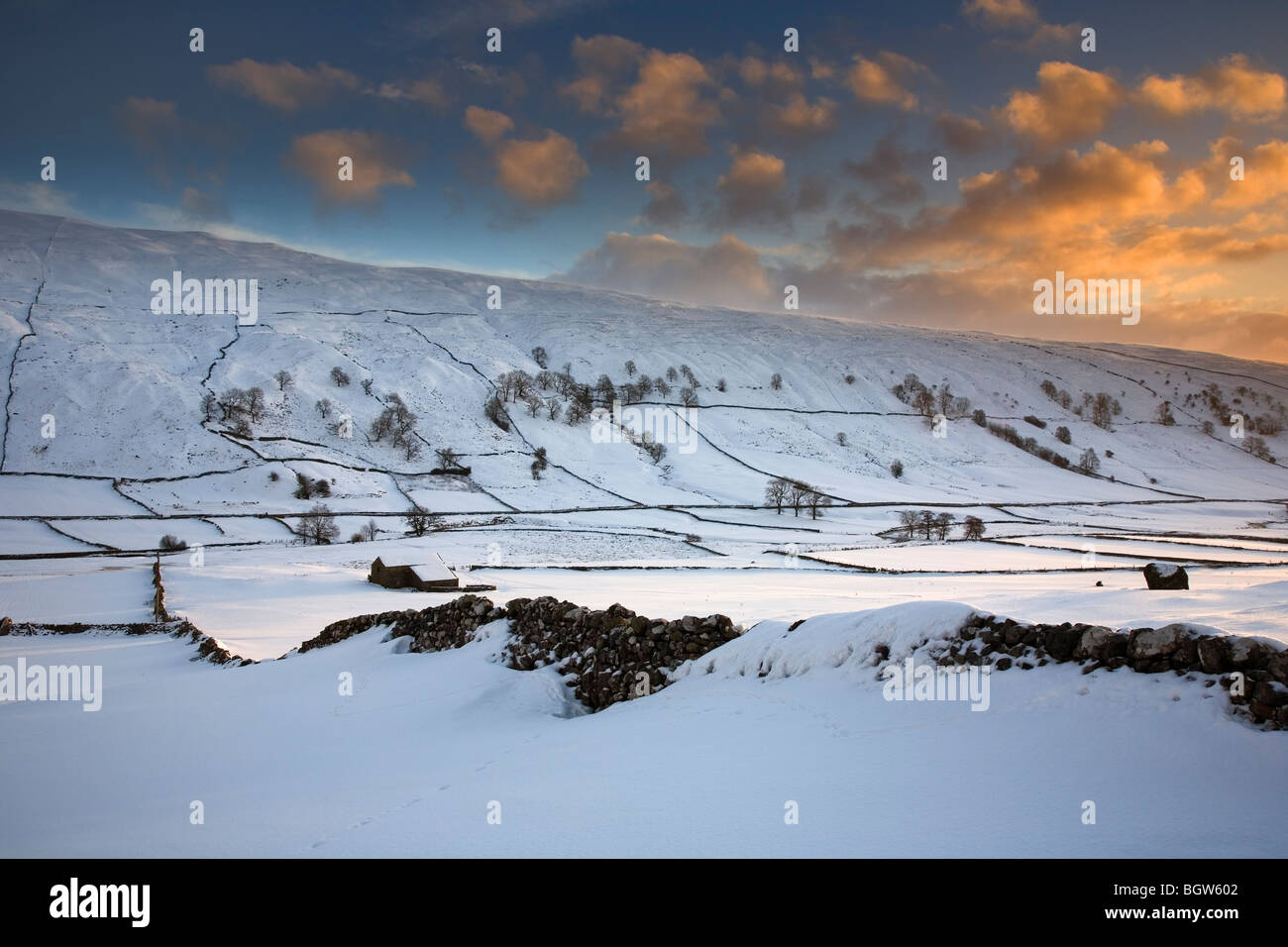 Yorkshire Dales Landschaft von Trockensteinmauern und Stein Scheune am Littondale nach Schneefällen, Winter 2009 09 North Yorkshire, UK Stockfoto