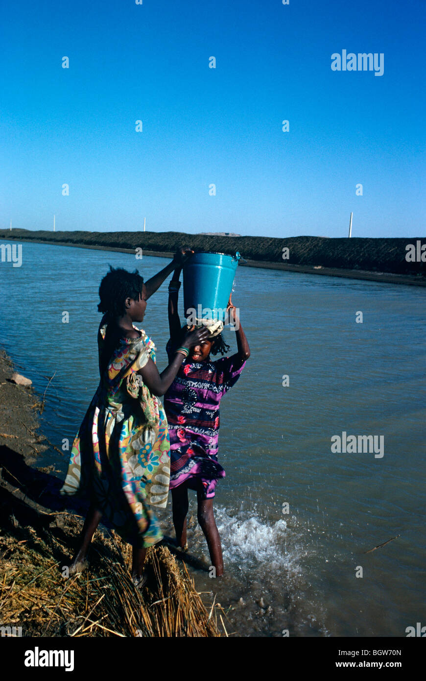 Sudan: junge Mädchen tragen Eimer Wasser aus dem Kanal, Teil des Projekts Rahad Bewässerung. Stockfoto
