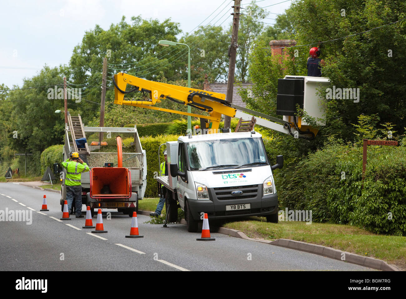 BTS Gruppe Arbeitnehmer schneiden überwucherte Hecke / Bäume unter Powerlines Stockfoto