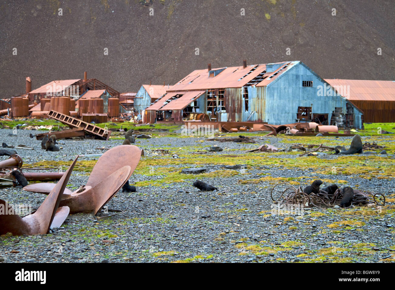 Ruinen der Walfangstation Stromness, South Georgia Island Stockfoto