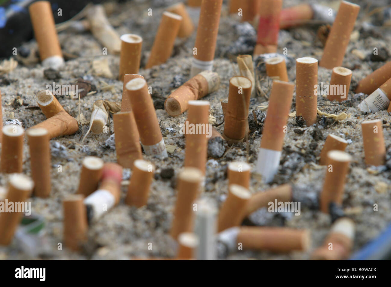 Geräucherte Zigarettenstummel verwendet im Aschenbecher aus Sand und Kies. Stockfoto