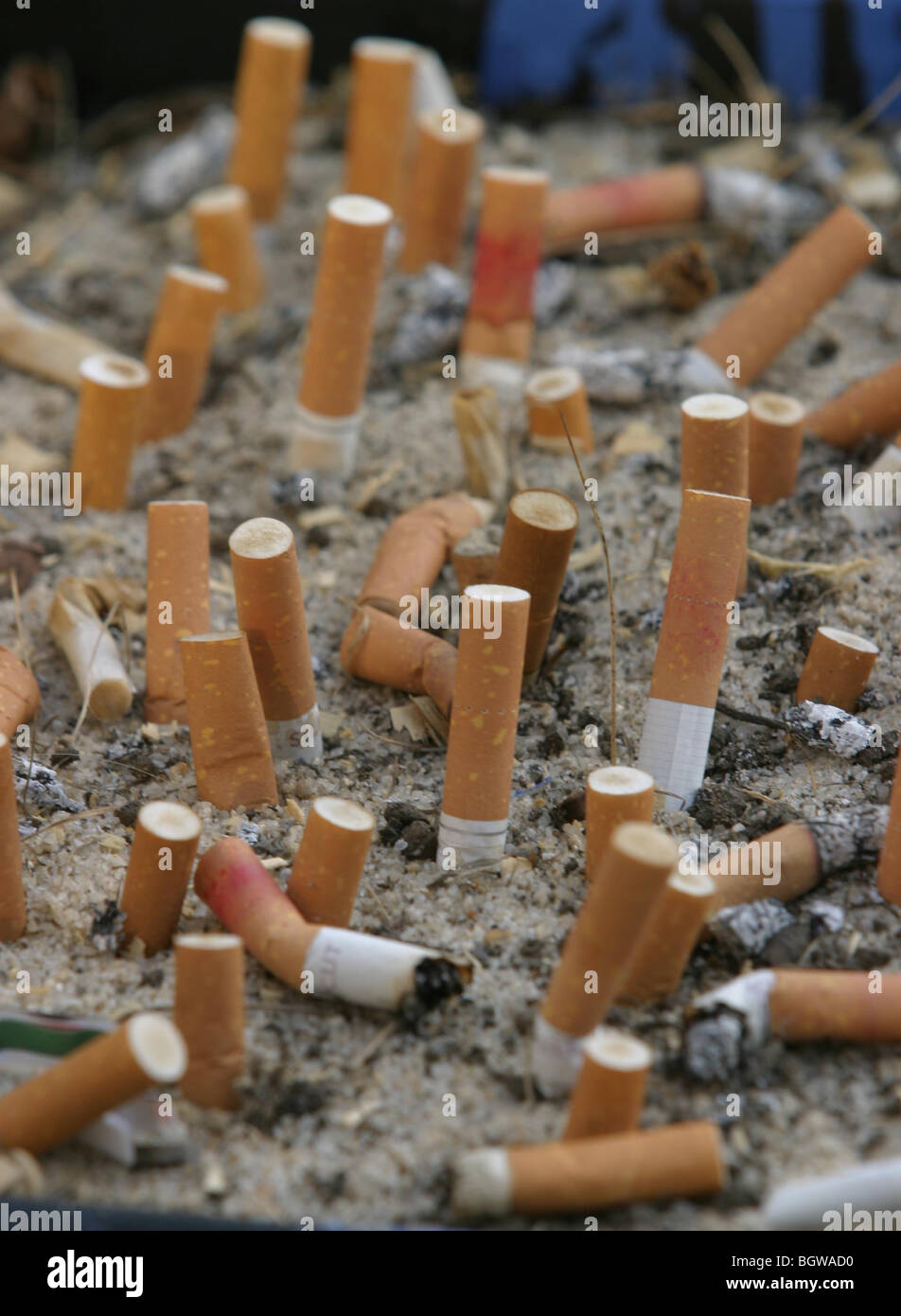 Geräucherte Zigarettenstummel verwendet im Aschenbecher aus Sand und Kies. Stockfoto