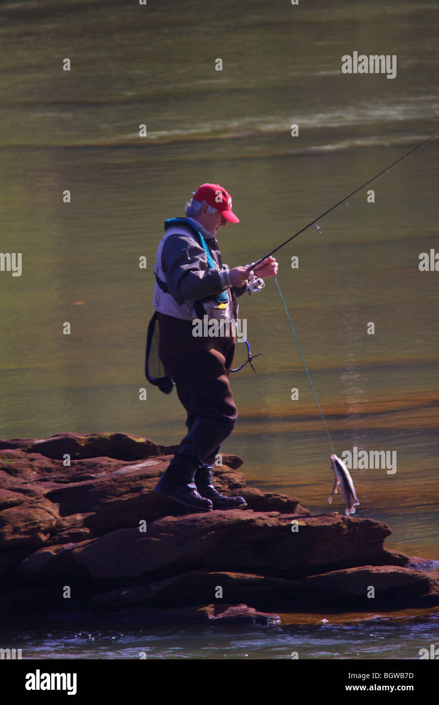 FLIEGENFISCHER ZU FUß AUF FELSEN IM FLUSS TRAGEN STRINGER VON FORELLEN CHATTAHOOCHEE RIVER GEORGIEN KNOCHEN TROCKEN WATVÖGELN KEIN MODEL-RELEASE Stockfoto