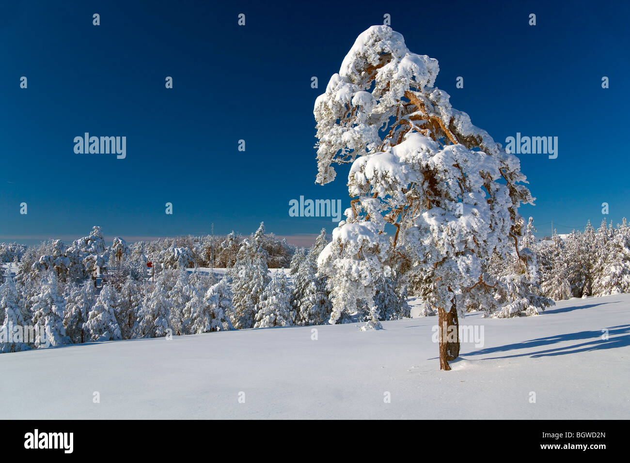 Divcibare, Serbien Stockfoto