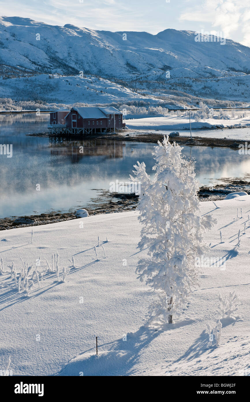 Winter-Szene am Meer mit einem roten Bootshaus in Nordland, Nord-Norwegen nördlich des Polarkreises. Stockfoto