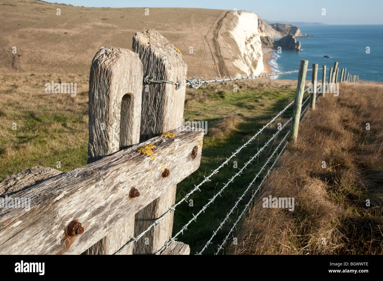 Die South West Coastal Path zwischen Osmington und Lulworth, Dorset, Großbritannien Stockfoto