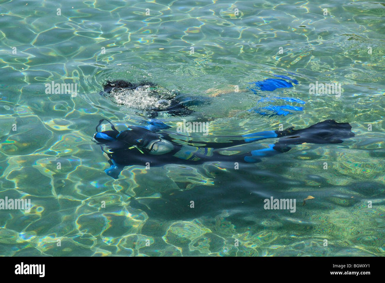 Israel Eilat Dolphin Reef Diving Stockfotos Und Bilder Kaufen Alamy