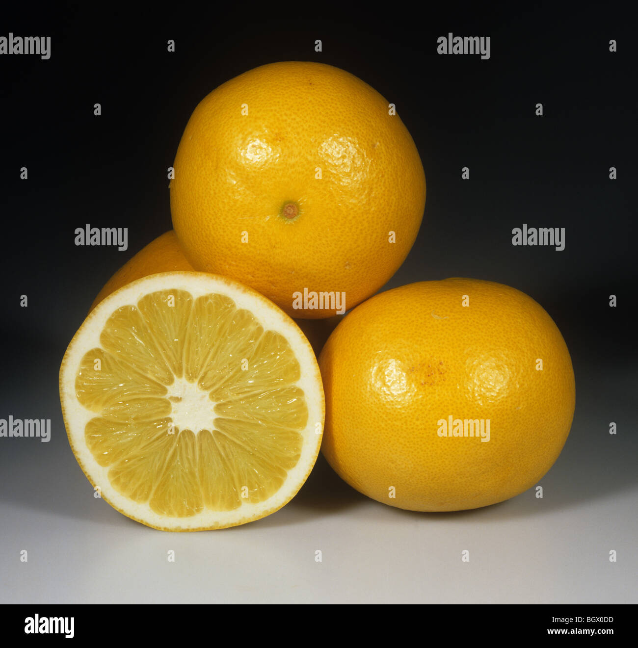 Gesamte & Abschnitt Pummelo Obstsorte Suishyu Stockfoto