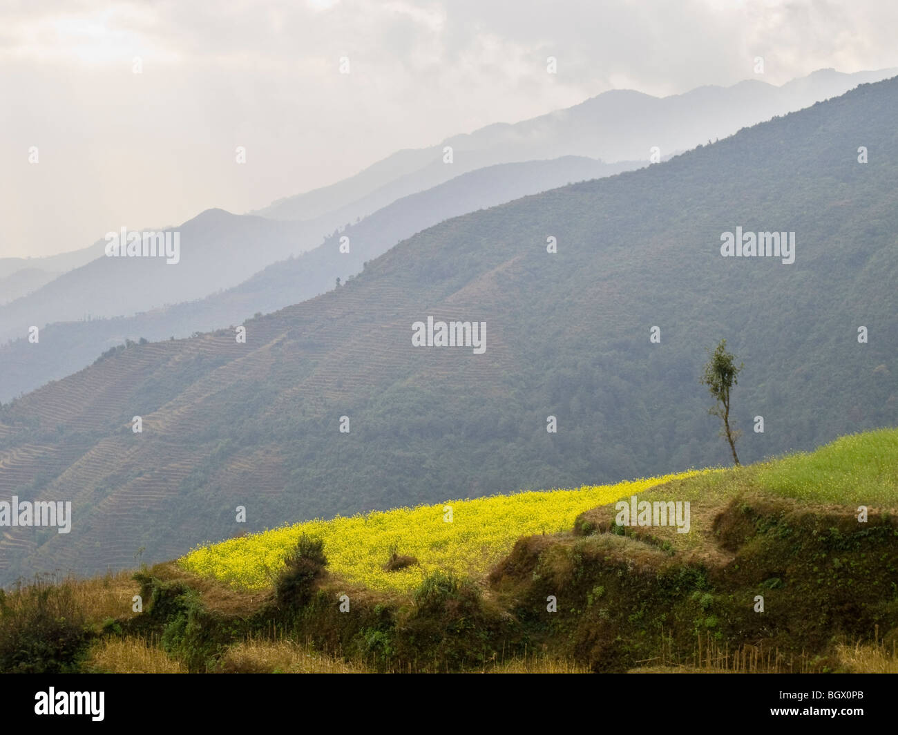 Landschaft und die Berge entlang der Helambu trekking Schaltung in Nepal. Stockfoto