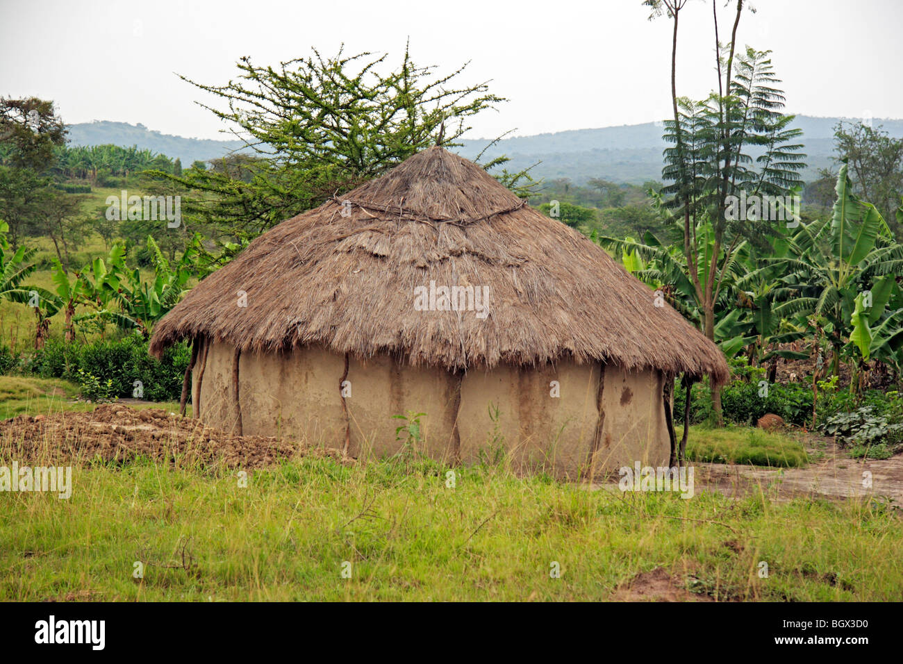 Haus, Lake Mburo National Park, Uganda, Ostafrika Stockfoto