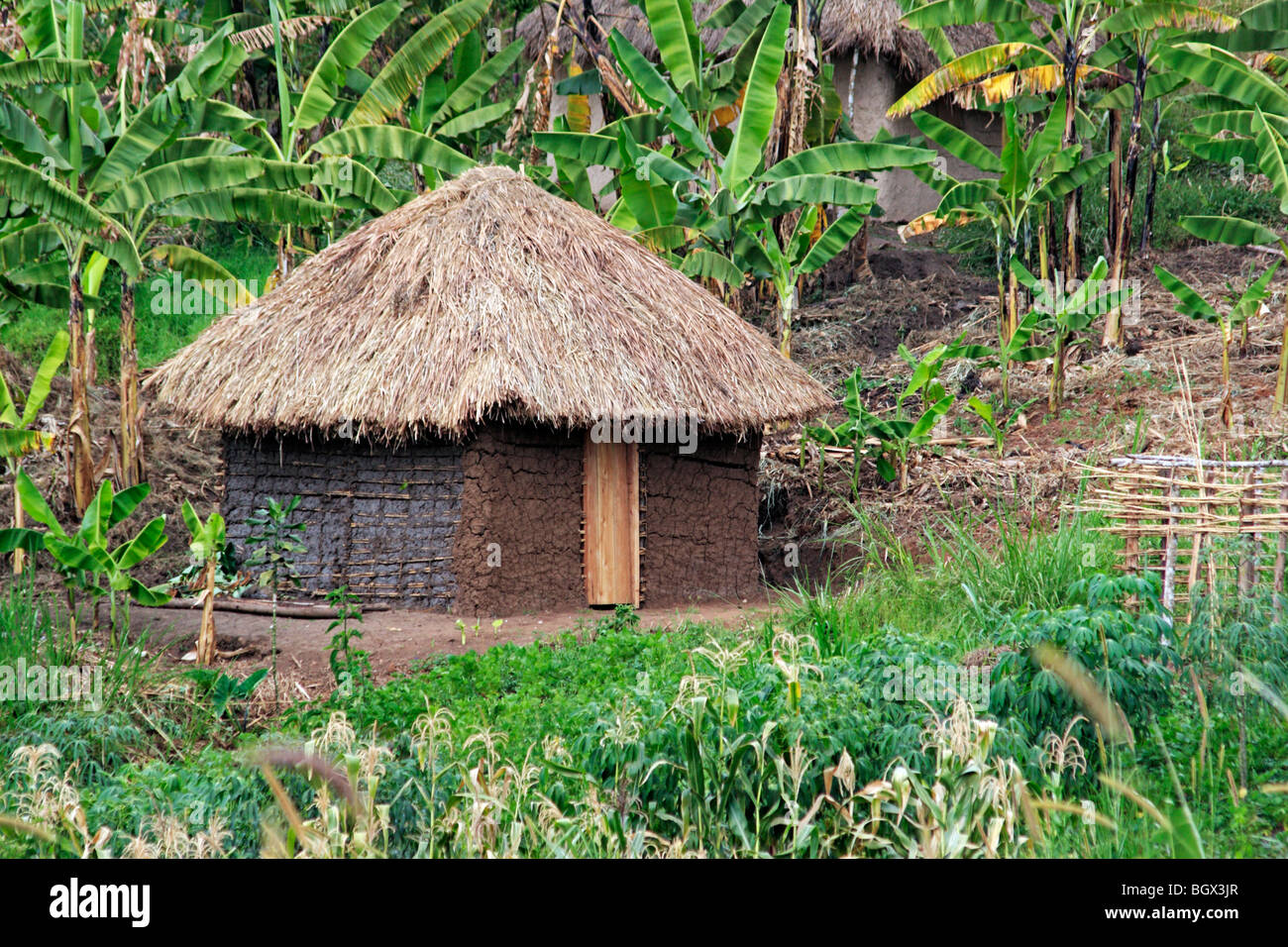 Haus, Uganda, Ostafrika Stockfoto