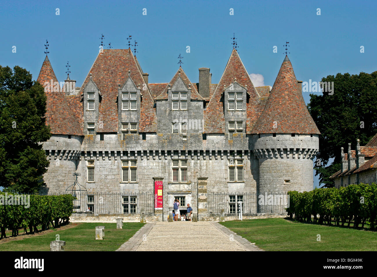 Chateau Monbazillac Weinberg Dordogne Aquitanien Frankreich Europa Reben Landwirtschaft Reisen Reiseziel Stockfoto
