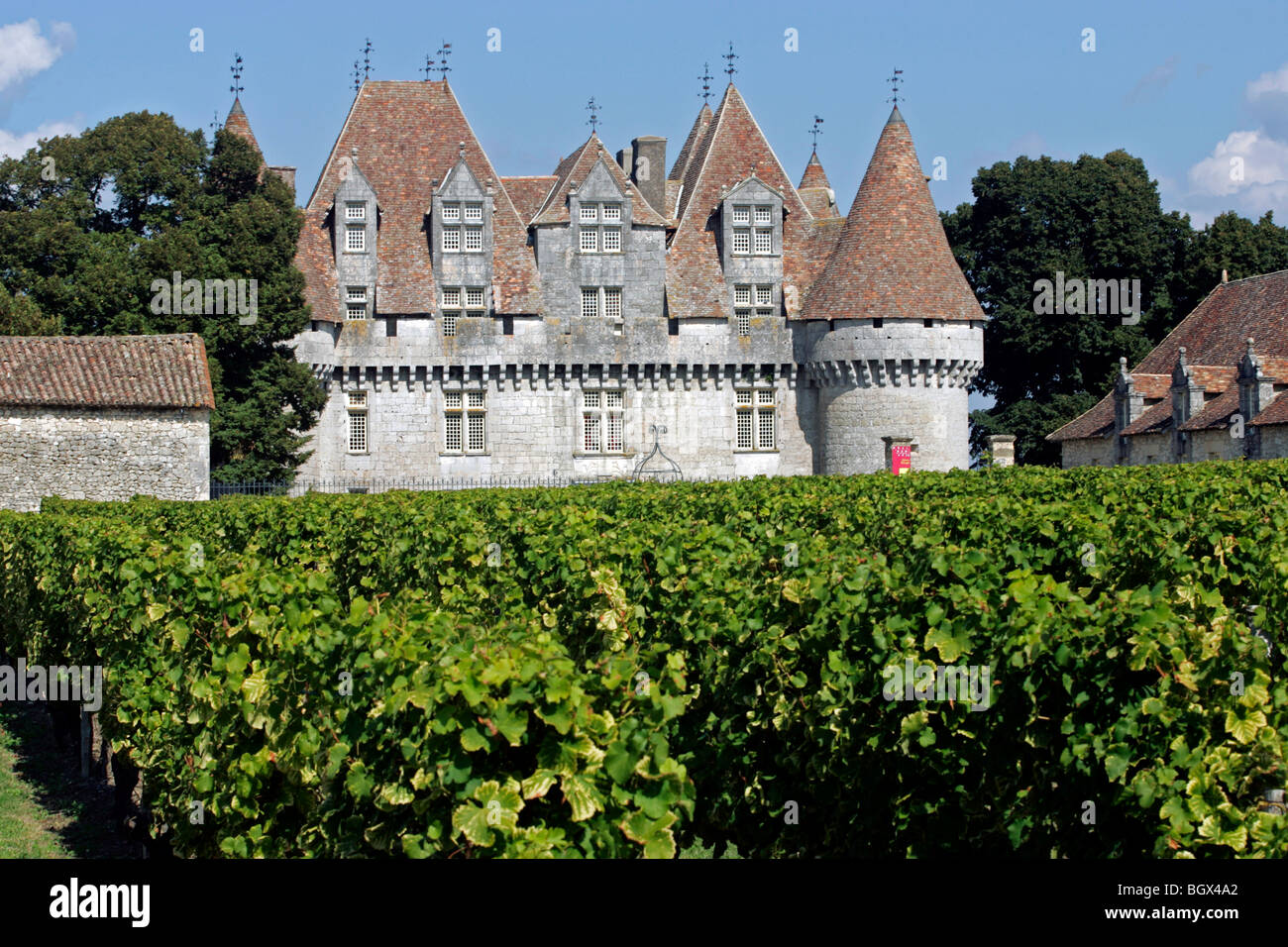 Chateau Monbazillac Weinberg Dordogne Aquitanien Frankreich Europa Reben Landwirtschaft Reisen Reiseziel Stockfoto
