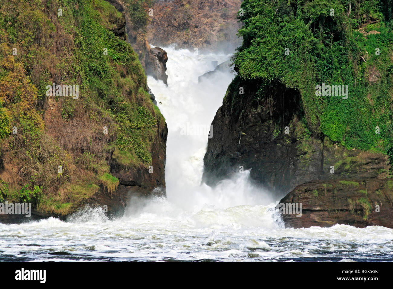 Murchison Falls National Park, Uganda, Ostafrika Stockfoto