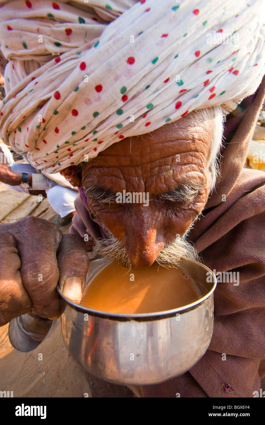 Das Kamel Mela in Indien Pushkar Chai trinken Stockfoto