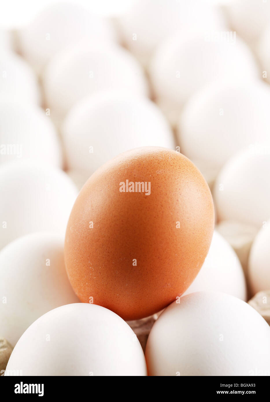 Braune Eiweiß von Eiern. Stockfoto
