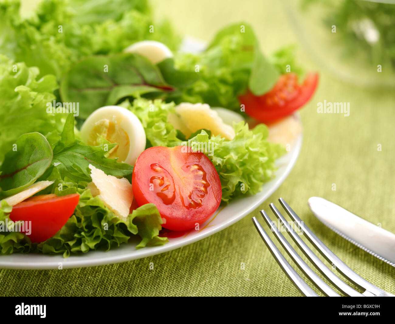Salat mit Eiern und Tomaten auf einem grünen Hintergrund. Stockfoto