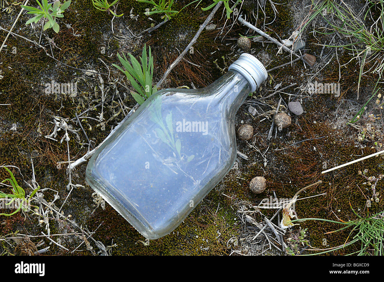 Wegwerfgesellschaft Stockfoto