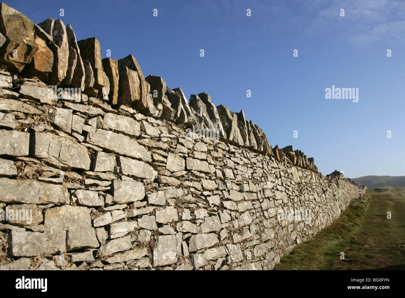 Spur an der Seite eine Trockensteinmauer auf den Great Orme nahe Llandudno ausgeführt. Stockfoto