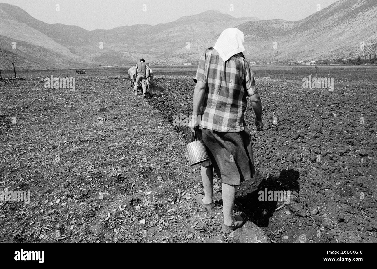 Die Felder pflügen und säen, Hani Hot, Nordalbanien, 1992. Stockfoto