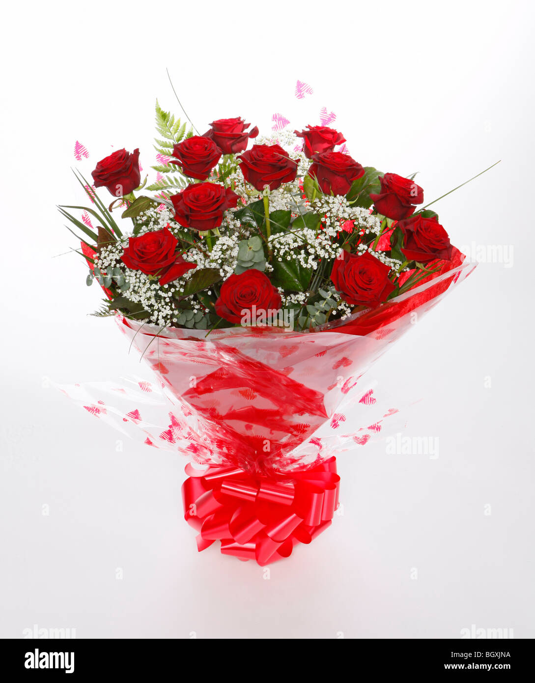 Ein Dutzend rote Rosen zum Valentinstag. Blumen auf weißem Hintergrund Stockfoto