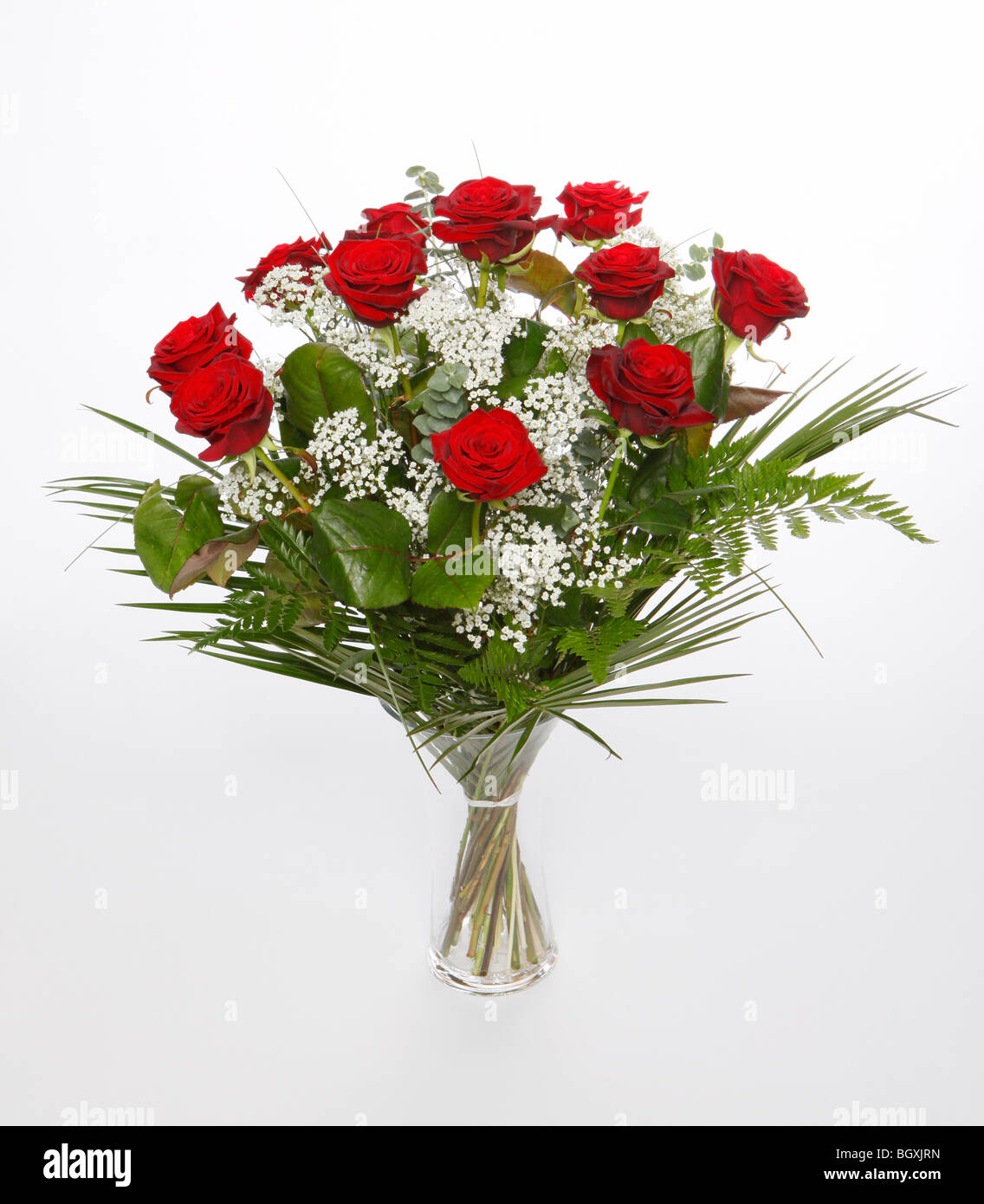 Ein Dutzend rote Rosen zum Valentinstag. Blumen auf weißem Hintergrund Stockfoto