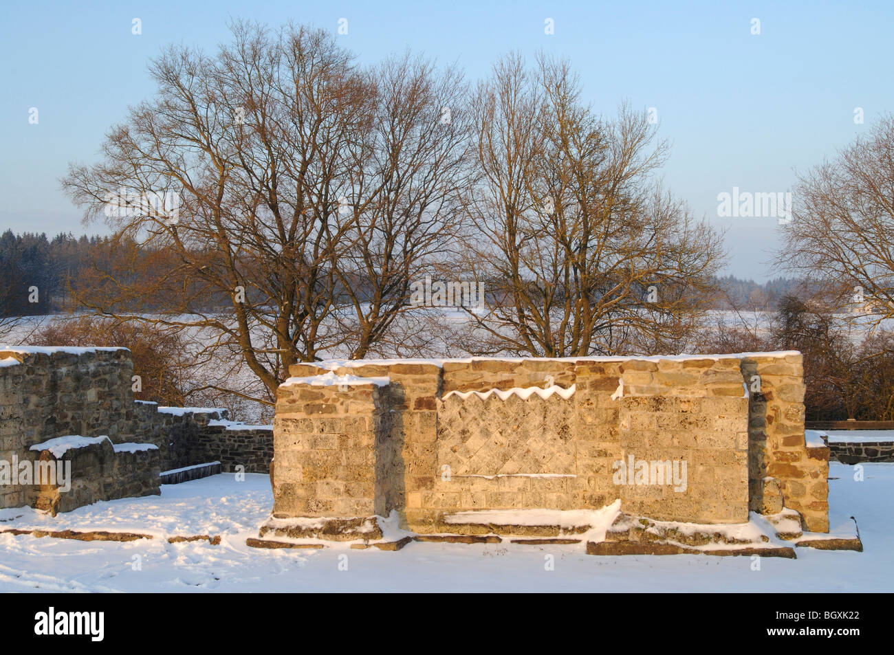 Limetten-Tür bei Rainau-Dalkingen Stockfoto