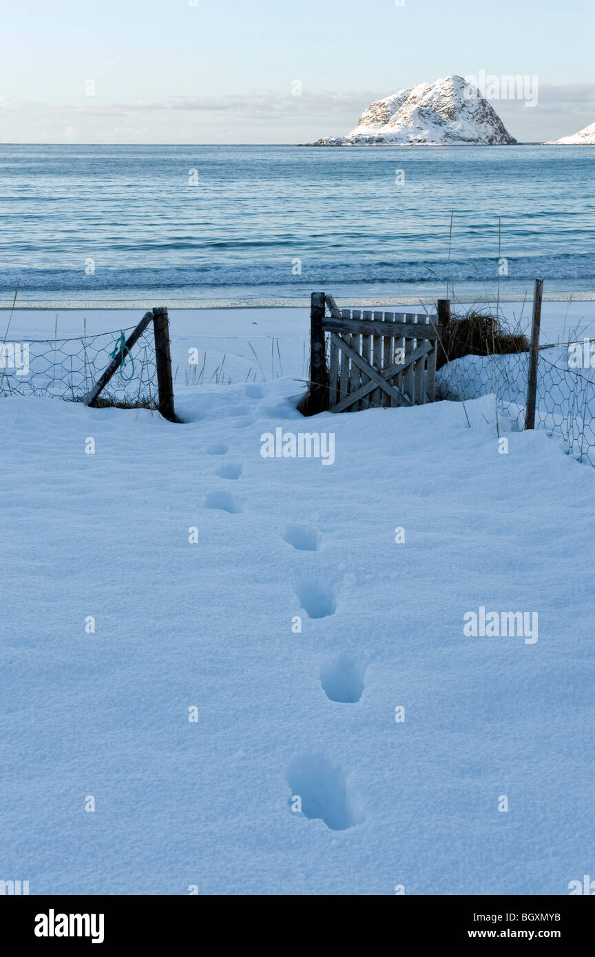 Durch ein Tor im Schnee Spuren. Lofoten-Inseln, Nord-Norwegen Stockfoto