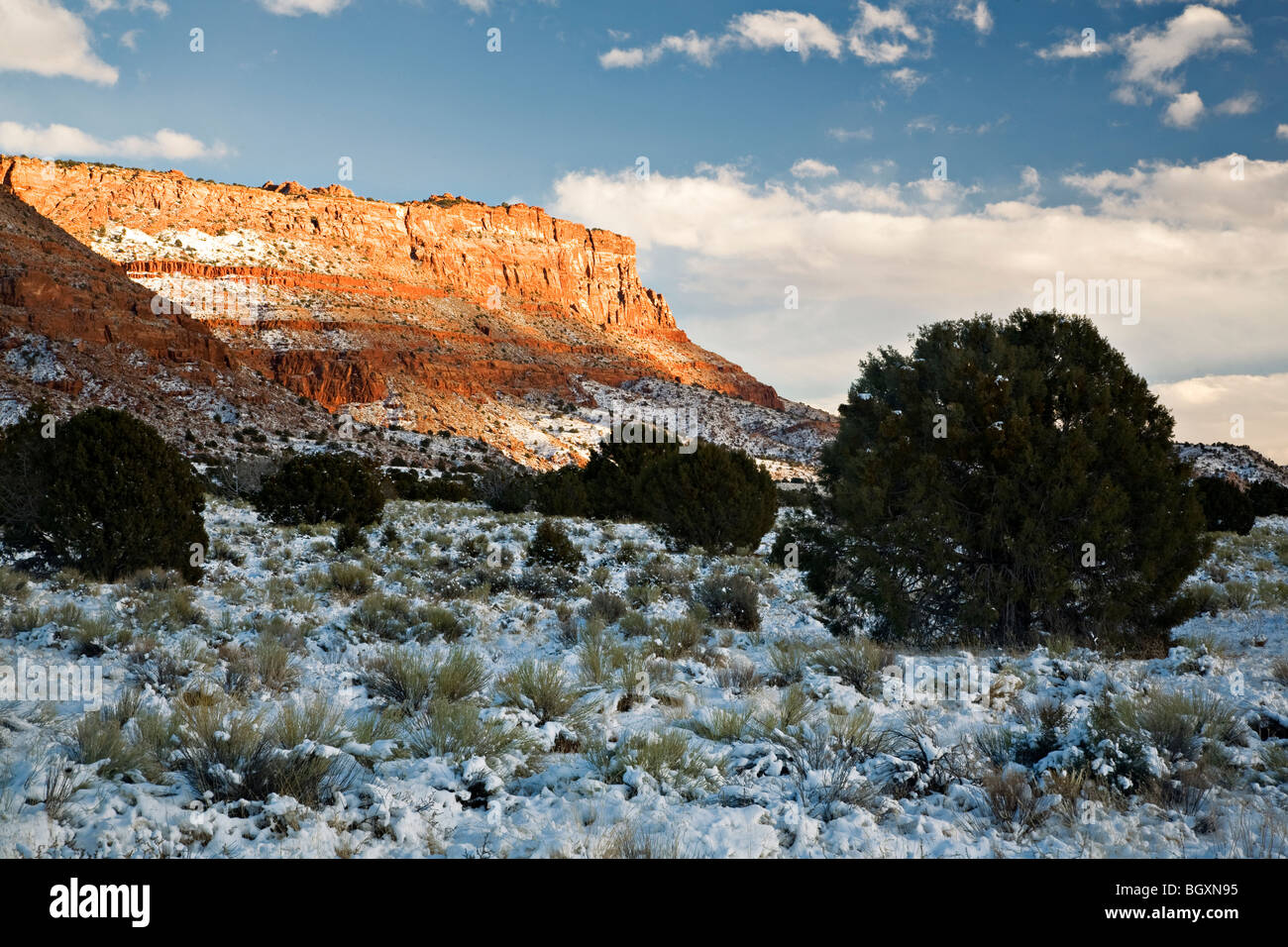 Schnee auf der Vermilion Cliffs in Arizona Stockfoto