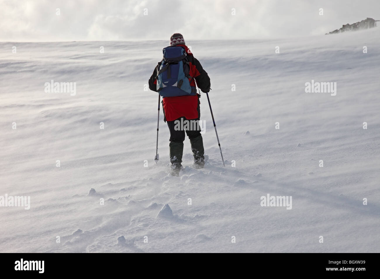 Berg-Wanderer erleben schwere Boden Schneeverwehungen, verursacht durch starke Winde im Winter Pennines oberen Teesdale County Durham Stockfoto