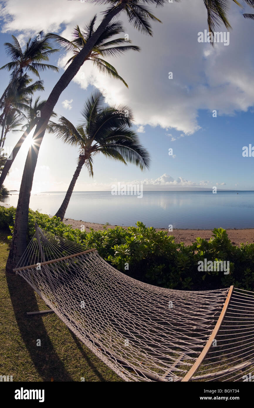 Eine leere Hängematte auf Molokai im Hinblick auf die Insel Lanai. Stockfoto