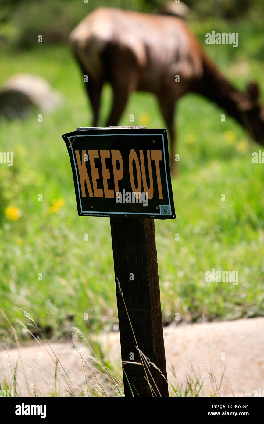 Halten Sie Zeichen mit Elch im Hintergrund in Estes Park, Colorado, USA Stockfoto