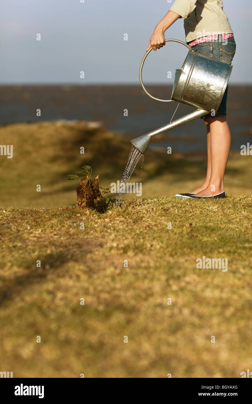Frau, Bewässerung Bäumchen sprießen aus Baumstumpf, beschnitten Stockfoto