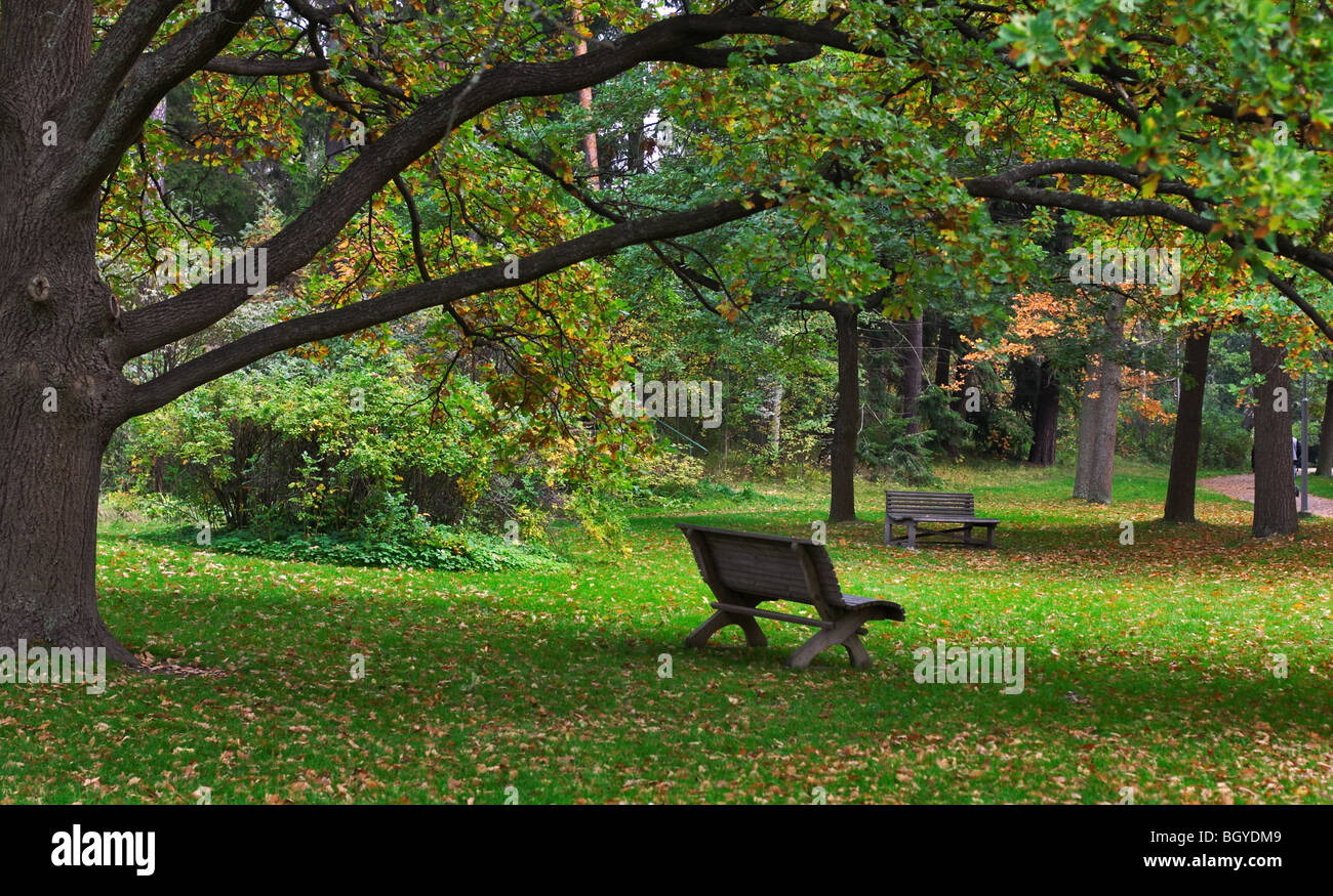 Schönen Herbstfarben Stockfoto